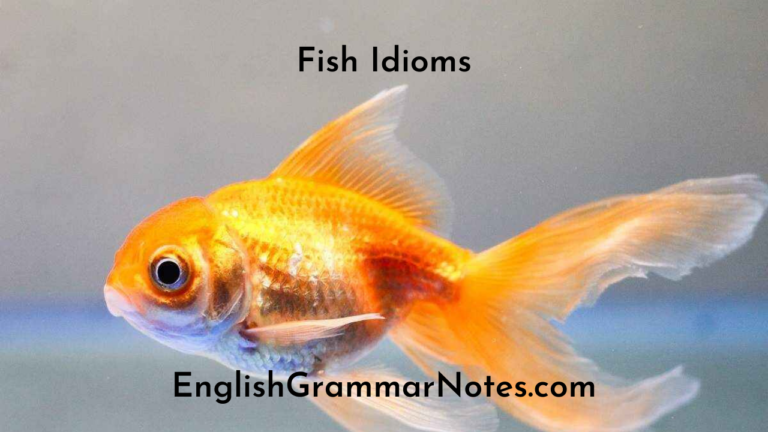 Fish Idioms