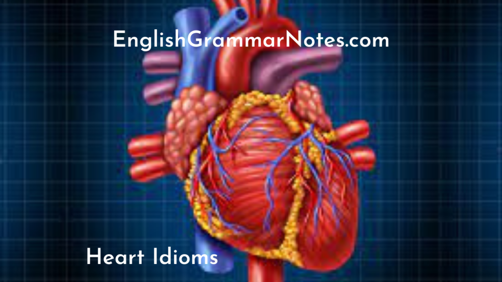 heart-idioms-list-of-heart-idioms-with-meaning-and-examples-english