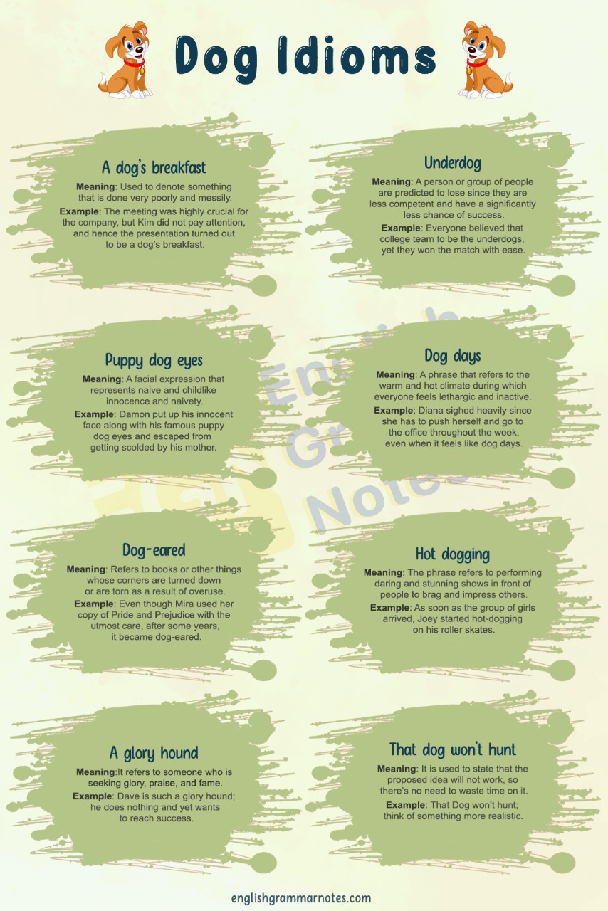 List of DOg Idiom