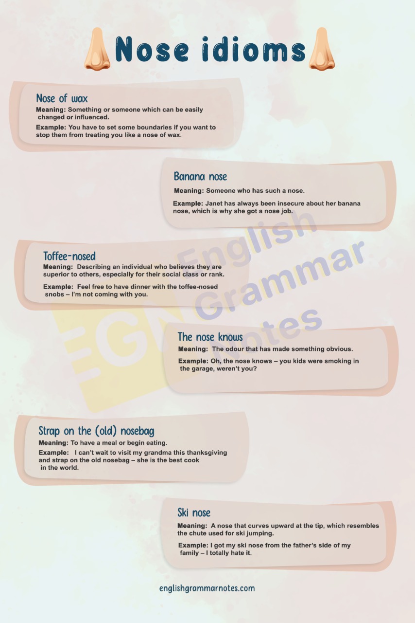 List of Nose Idioms 1