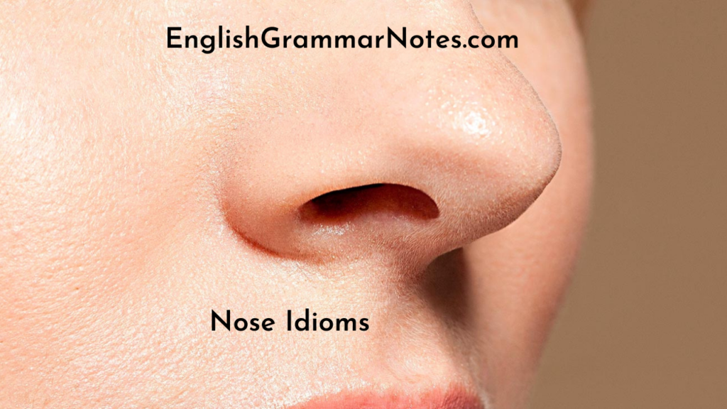 Nose idioms List of Nose idioms With Meaning and Examples English