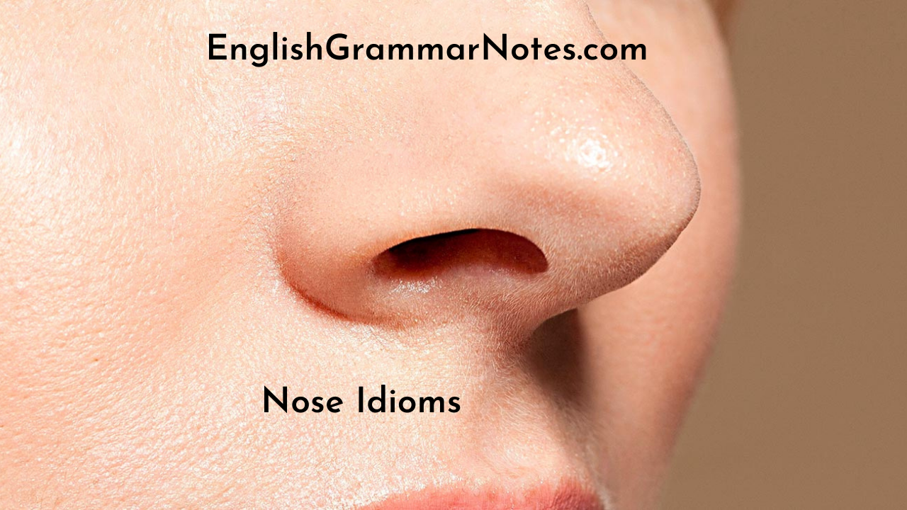 Nose idioms