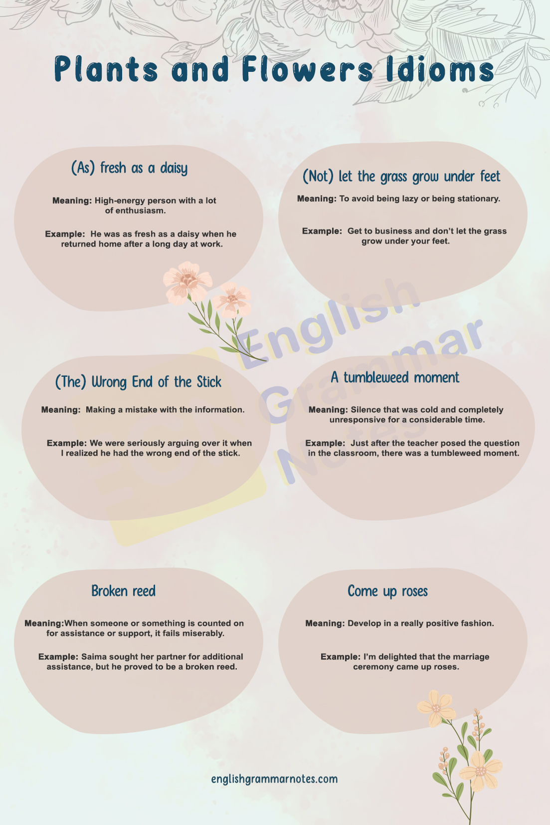 Plants and Flowers Idioms 1