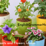 Plants and Flowers Idioms