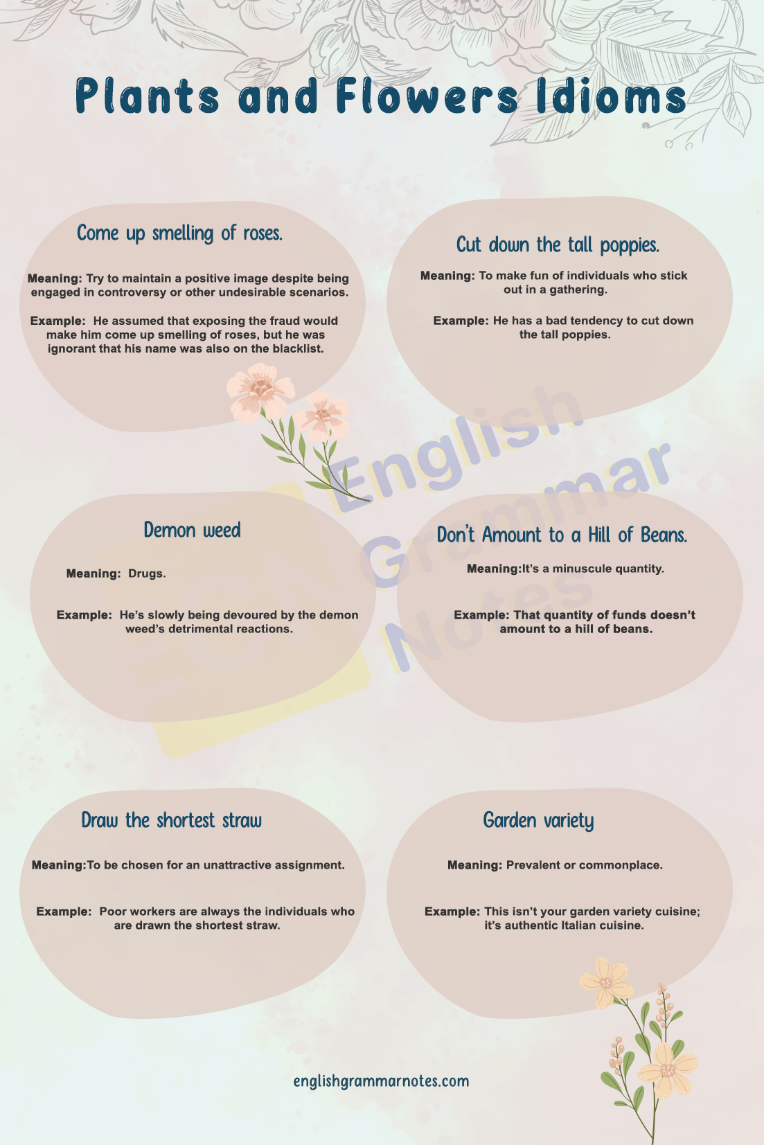Plants and Flowers Idioms 2