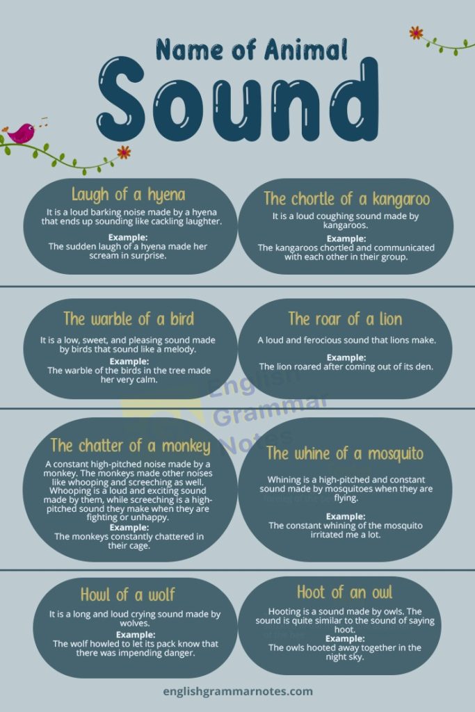 Animal Sounds List of Animal Sounds With Meaning English Grammar Notes