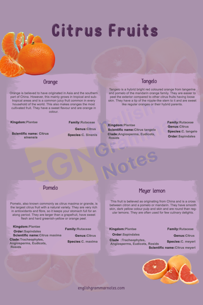 Citrus Fruits List of Citrus Fruits With Description and Images English Grammar Notes