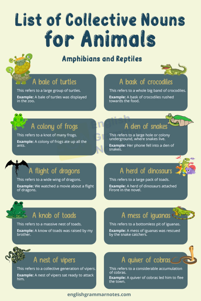 Collective Nouns For Animals List Of Collective Nouns For Animals With Meaning And Examples 