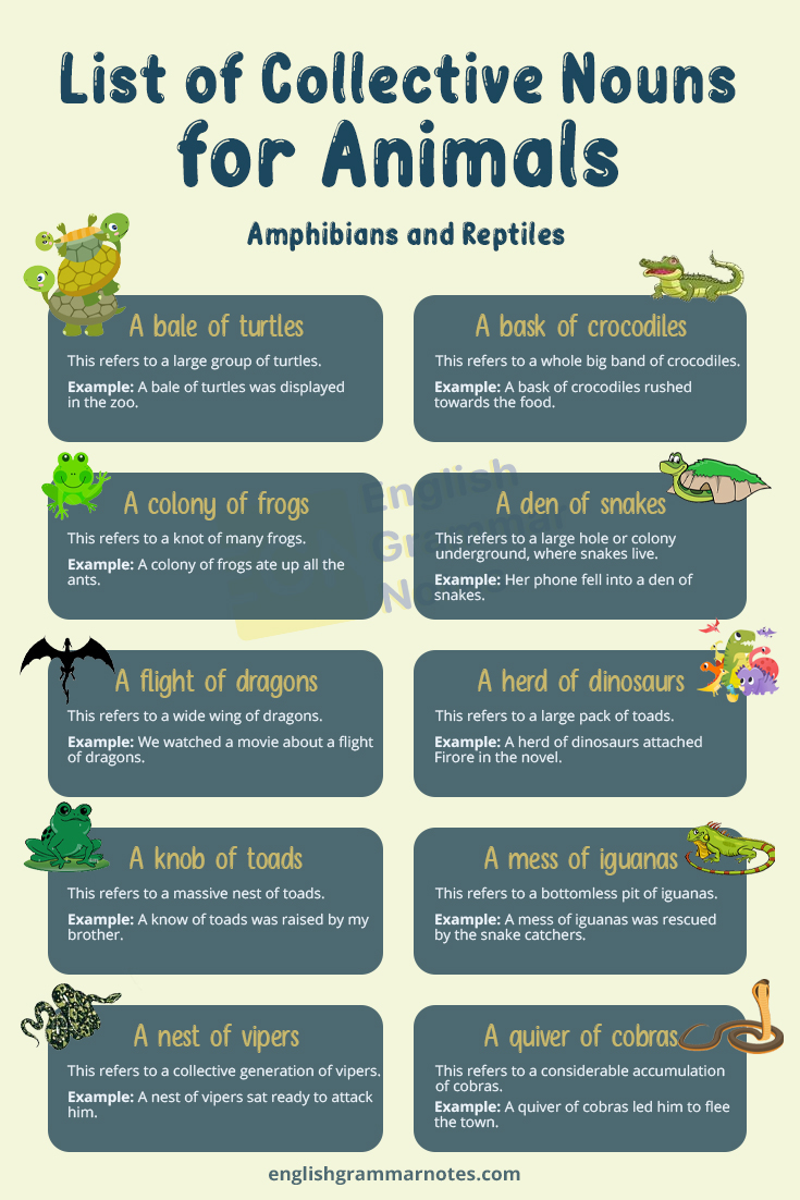 Collective Nouns for Animals 2