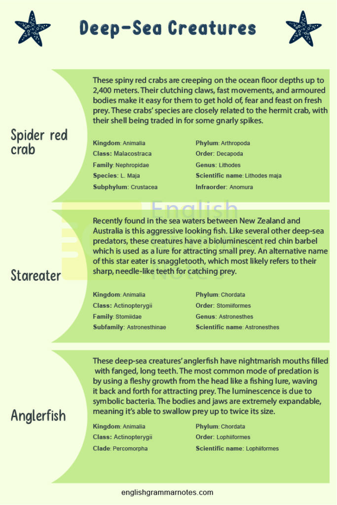Deep Sea Creatures | List of Deep-Sea Creatures With Description ...