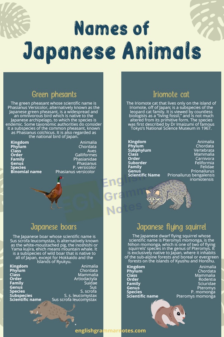 Japanese Animals 1
