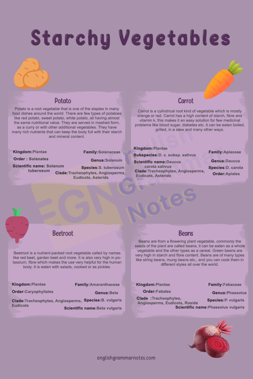 starchy-vegetables-list-of-starchy-vegetables-with-descriptions-and