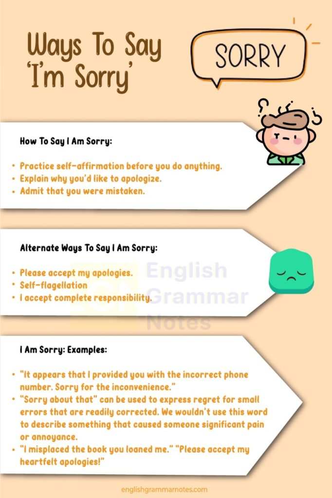 Ways To Say ‘I’m Sorry’ How To Say? Examples and Alternative Ways to