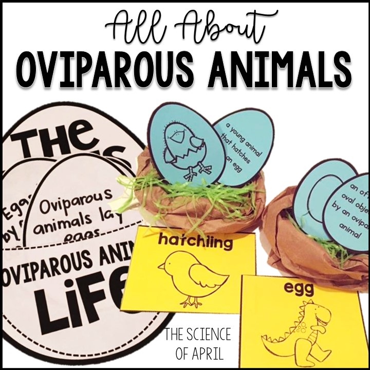 oviparous animals