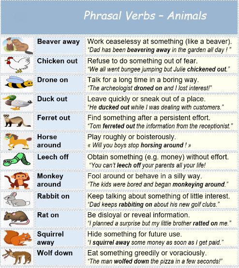 phrasal verbs with animals