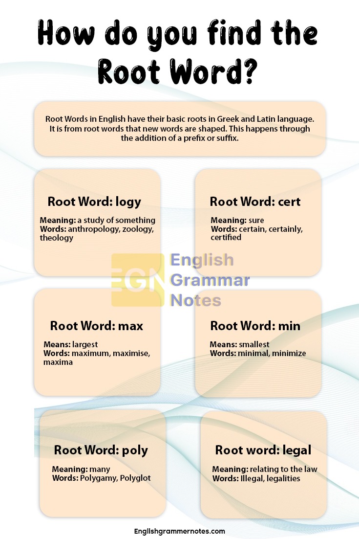50+ Most Common Root Words in English with Meaning and Examples