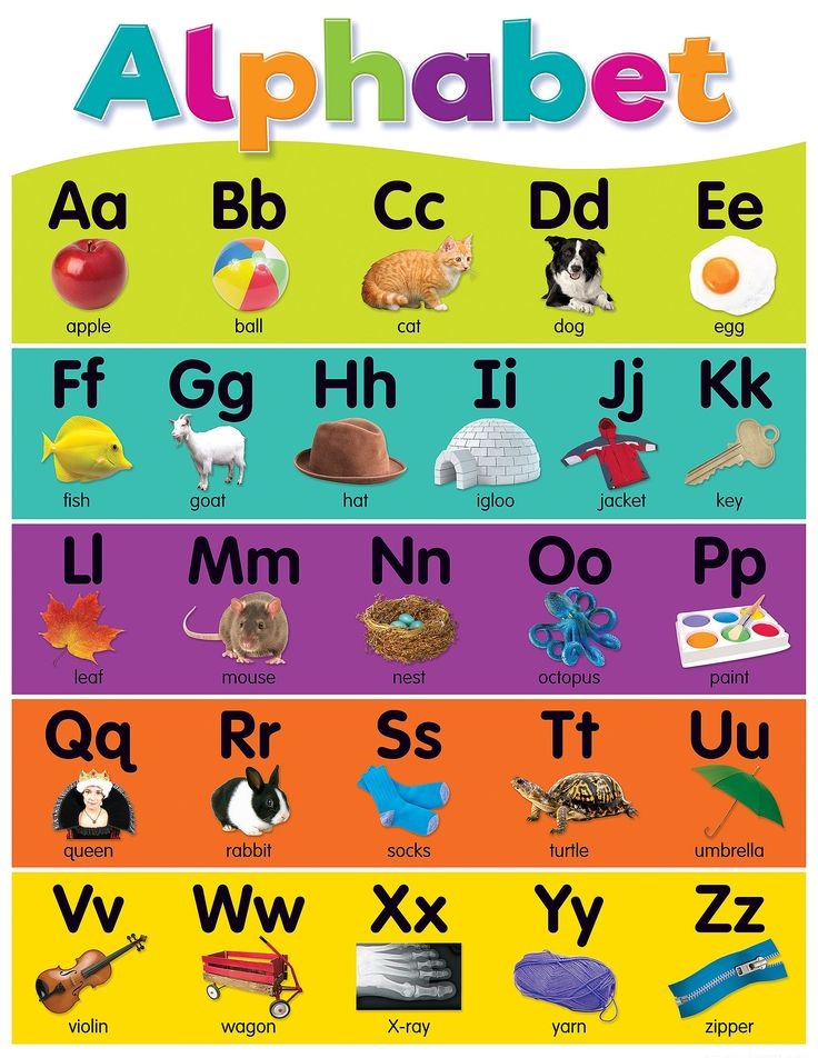 12 alphabet words