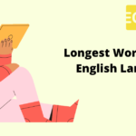 longest words