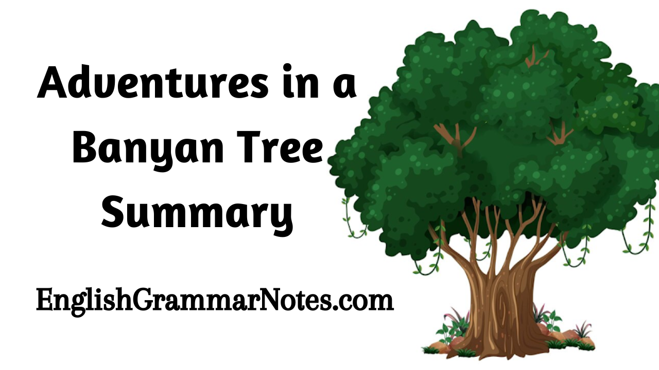 Adventures in a Banyan Tree Summary
