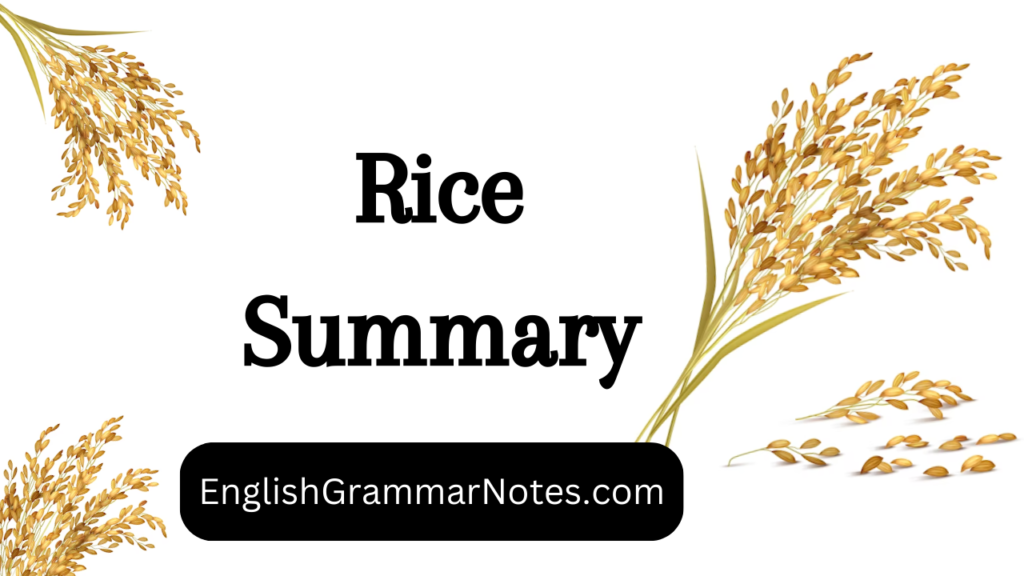 Rice Summary English Grammar Notes