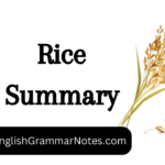 Rice Summary