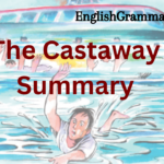 The Castaway Summary