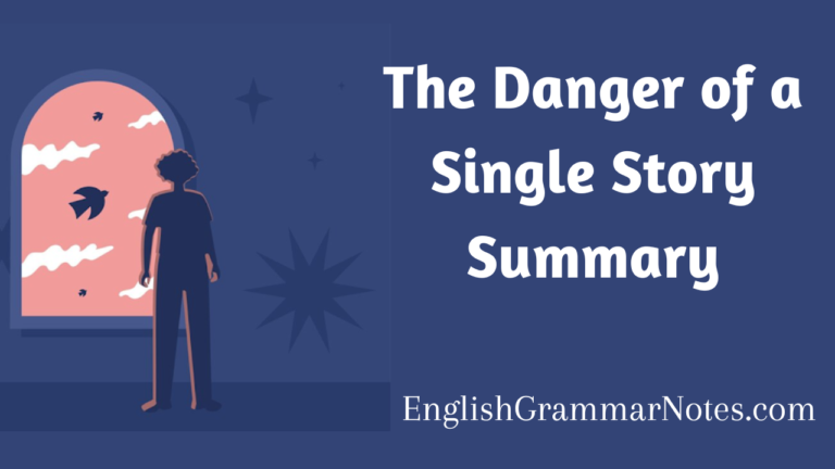 The Danger of a Single Story Summary