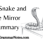 The Snake and the Mirror Summary
