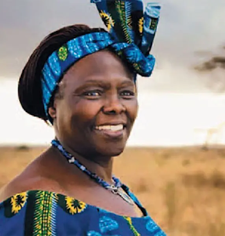 When a Sapling is Planted Author Wangari Maathai