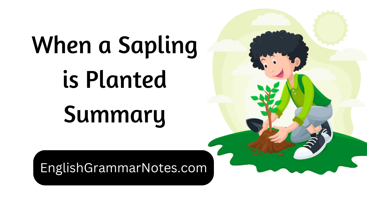 When a Sapling is Planted Summary